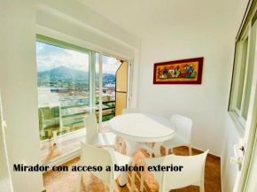 Labradores OKP